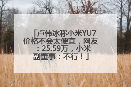 卢伟冰称小米YU7价格不会太便宜，网友：25.59万，小米副董事：不行！
