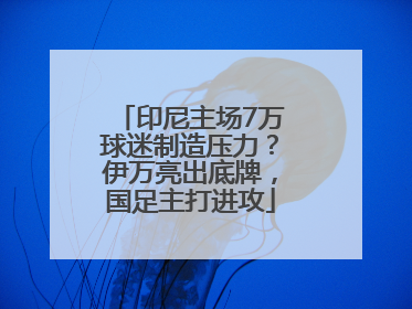 印尼主场7万球迷制造压力？伊万亮出底牌，国足主打进攻