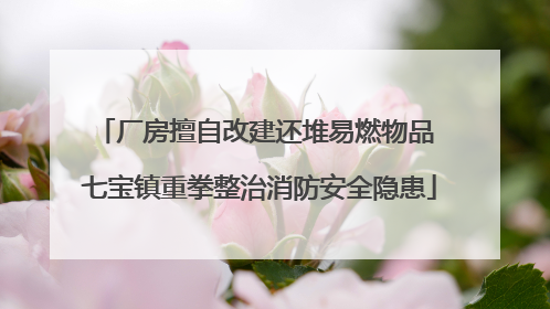 厂房擅自改建还堆易燃物品 七宝镇重拳整治消防安全隐患
