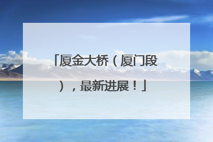 厦金大桥（厦门段），最新进展！