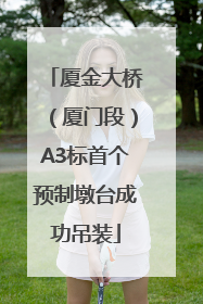 厦金大桥（厦门段）A3标首个预制墩台成功吊装