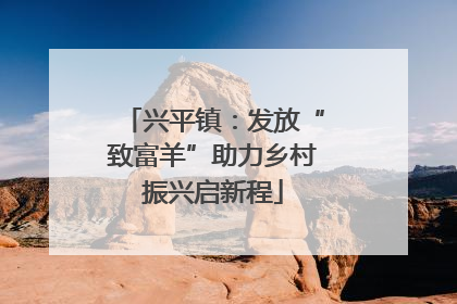 兴平镇：发放“致富羊”助力乡村振兴启新程