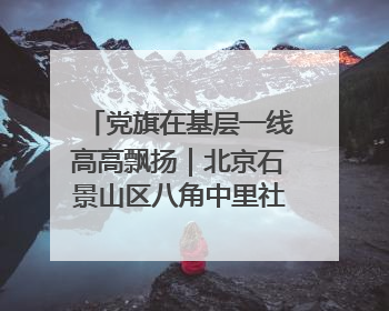 党旗在基层一线高高飘扬｜北京石景山区八角中里社区党委：用脚步丈量民生