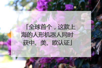 全球首个，这款上海的人形机器人同时获中、美、欧认证