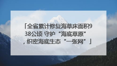 全省累计修复海草床面积938公顷 守护“海底草原”，织密海底生态“一张网”