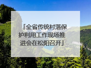 全省传统村落保护利用工作现场推进会在松阳召开