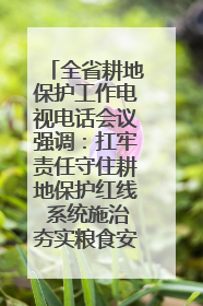全省耕地保护工作电视电话会议强调：扛牢责任守住耕地保护红线 系统施治夯实粮食安全根基 王宁作出批示 王予波出席并讲话