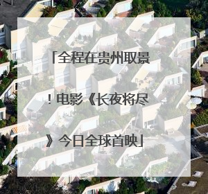 全程在贵州取景！电影《长夜将尽》今日全球首映