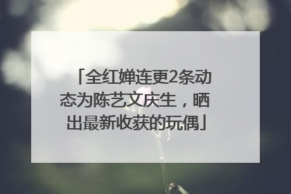 全红婵连更2条动态为陈艺文庆生，晒出最新收获的玩偶