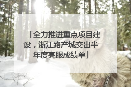 全力推进重点项目建设，浙江路产城交出半年度亮眼成绩单