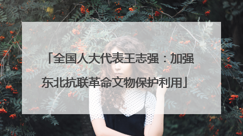 全国人大代表王志强：加强东北抗联革命文物保护利用