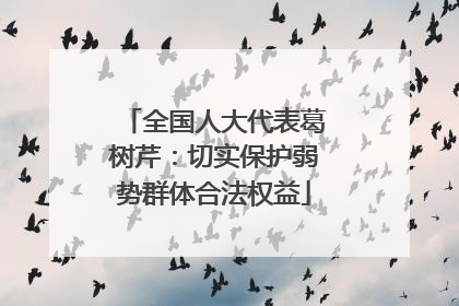 全国人大代表葛树芹：切实保护弱势群体合法权益