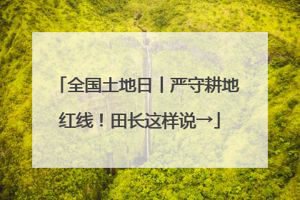 全国土地日丨严守耕地红线！田长这样说→