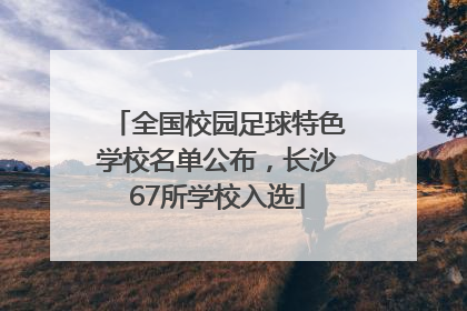 全国校园足球特色学校名单公布，长沙67所学校入选