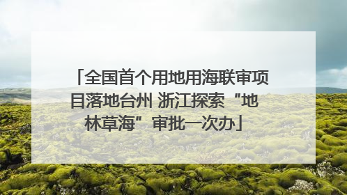 全国首个用地用海联审项目落地台州 浙江探索“地林草海”审批一次办