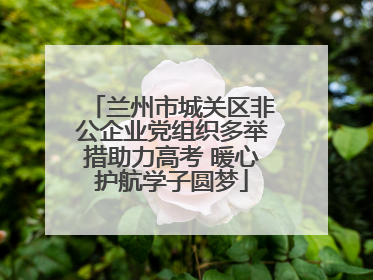 兰州市城关区非公企业党组织多举措助力高考 暖心护航学子圆梦