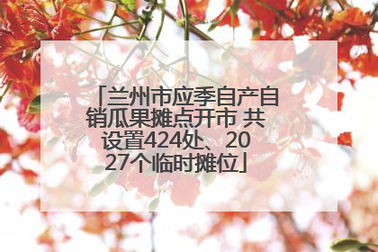 兰州市应季自产自销瓜果摊点开市 共设置424处、2027个临时摊位