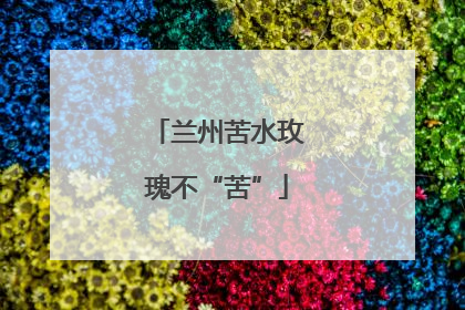 兰州苦水玫瑰不“苦”