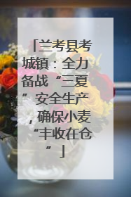 兰考县考城镇：全力备战“三夏”安全生产，确保小麦“丰收在仓”