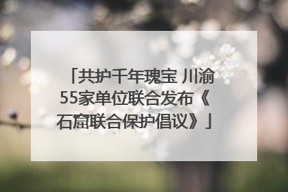 共护千年瑰宝 川渝55家单位联合发布《石窟联合保护倡议》