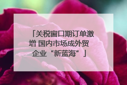 关税窗口期订单激增 国内市场成外贸企业“新蓝海”