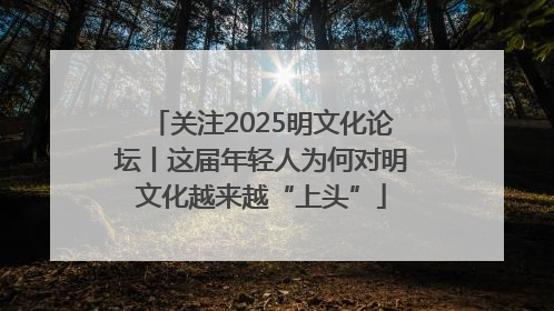 关注2025明文化论坛丨这届年轻人为何对明文化越来越“上头”