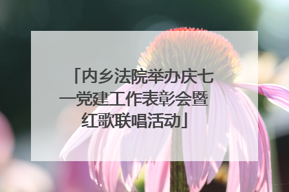 内乡法院举办庆七一党建工作表彰会暨红歌联唱活动