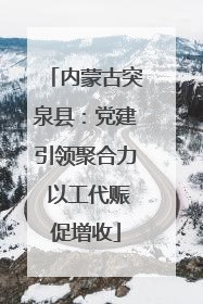 内蒙古突泉县：党建引领聚合力 以工代赈促增收