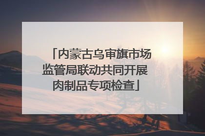 内蒙古乌审旗市场监管局联动共同开展肉制品专项检查