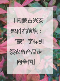 内蒙古兴安盟科右前旗：“蒙”字标引领农畜产品走向全国
