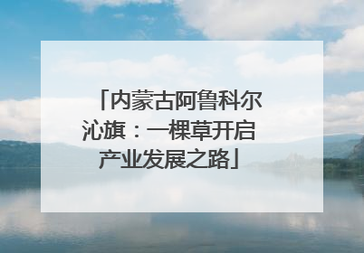 内蒙古阿鲁科尔沁旗：一棵草开启产业发展之路