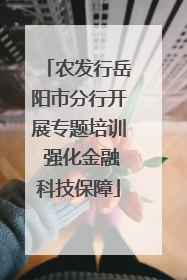 农发行岳阳市分行开展专题培训 强化金融科技保障