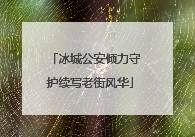 冰城公安倾力守护续写老街风华