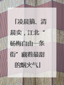 凌晨摘、清晨卖，江北“杨梅自由一条街”藏着最甜的烟火气