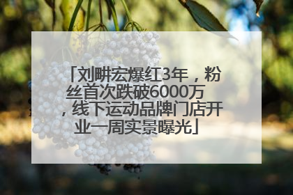 刘畊宏爆红3年，粉丝首次跌破6000万，线下运动品牌门店开业一周实景曝光