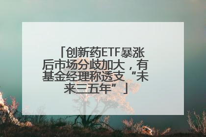 创新药ETF暴涨后市场分歧加大，有基金经理称透支“未来三五年”
