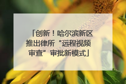 创新！哈尔滨新区推出律所“远程视频审查”审批新模式