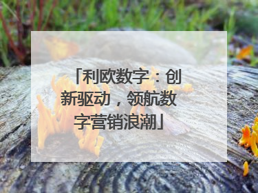 利欧数字：创新驱动，领航数字营销浪潮