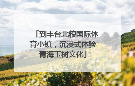 到丰台北粮国际体育小镇，沉浸式体验青海玉树文化