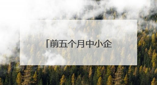 前五个月中小企业产业园入驻企业增长超三成