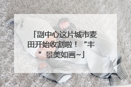 副中心这片城市麦田开始收割啦！“丰”景美如画~