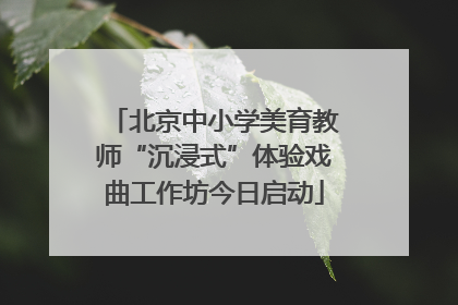 北京中小学美育教师“沉浸式”体验戏曲工作坊今日启动