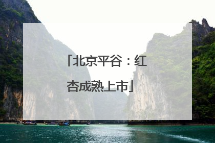 北京平谷：红杏成熟上市