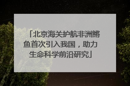 北京海关护航非洲鳉鱼首次引入我国，助力生命科学前沿研究