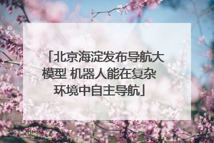 北京海淀发布导航大模型 机器人能在复杂环境中自主导航