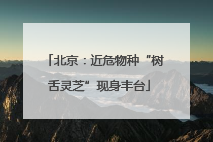 北京：近危物种“树舌灵芝”现身丰台