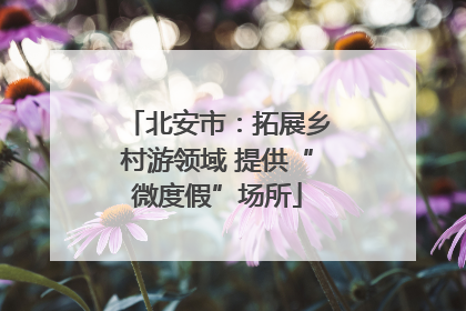 北安市：拓展乡村游领域 提供“微度假”场所