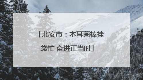 北安市：木耳菌棒挂袋忙 奋进正当时