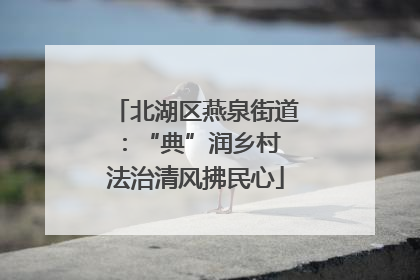 北湖区燕泉街道：“典”润乡村 法治清风拂民心