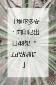 埃尔多安：向印尼出口48架“五代战机”